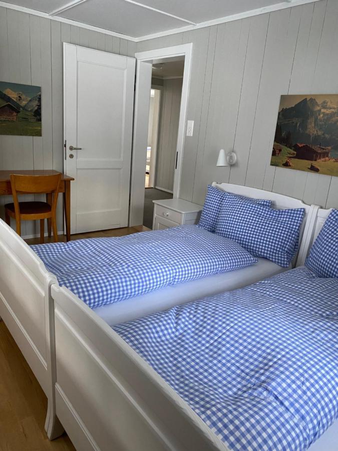 Familienferien Im Chalet Baergli Кандерштег Экстерьер фото