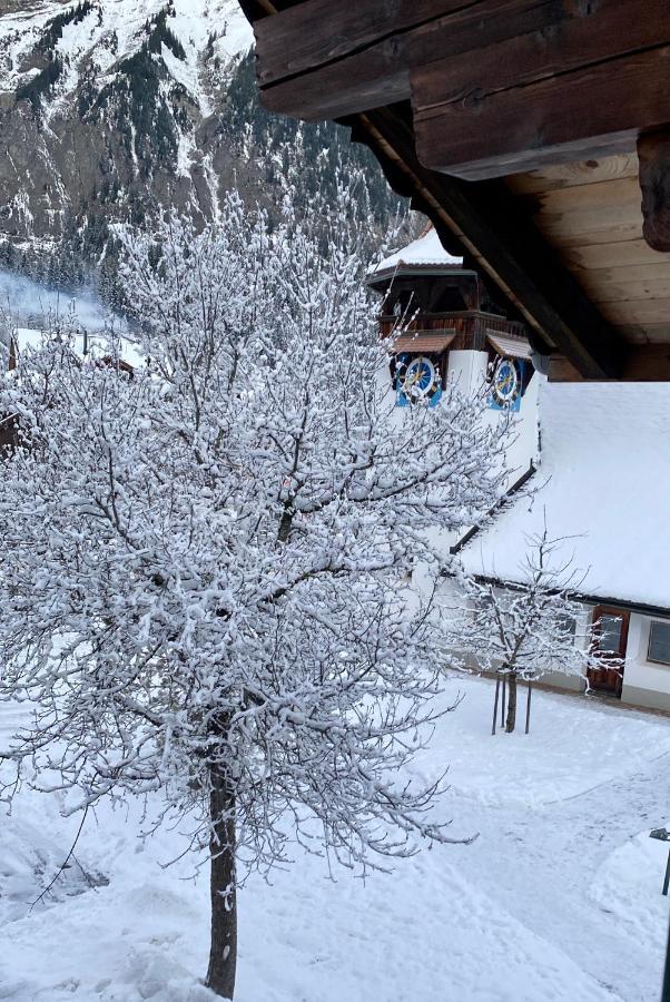 Familienferien Im Chalet Baergli Кандерштег Экстерьер фото